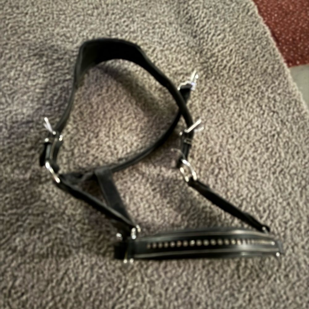 hdr sparkle halter oversize fits normal horse